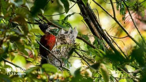 2023070813968681.jpg 2956c419972bd4072e24cb0270899e510db309e4_九雷图片转换器.jpg