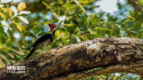 2023070751532065.jpg 9369df50f81986185e44d17a41ed2e738ad4e644_九雷图片转换器.jpg