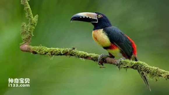 2023052319703789.jpg f4584735349b033bb45804fe1ece36d3d439bdb2_九雷图片转换器.jpg