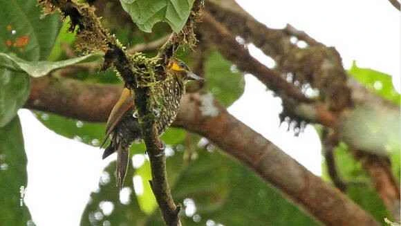 2023070512291836.jpg d06d55282df5e0fe9a4840f4576034a85fdf7262_九雷图片转换器.jpg