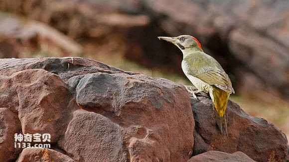 2023061085836588.jpg e9987acf36d3d53942e4f74f3187e950372ab0d1_九雷图片转换器.jpg