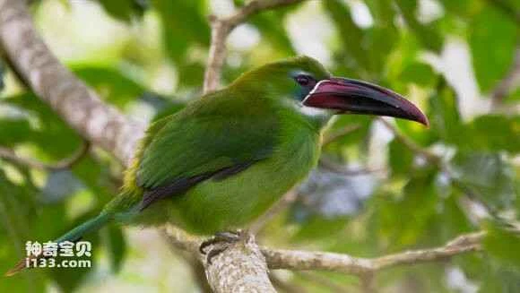 2023052219908621.jpg 0d878fff9925bc314d87c4ba55df8db1ca1370a9_九雷图片转换器.jpg