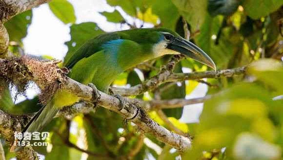 2023052220886602.jpg e965103f6709c93d80690ed4943df8dcd00054e9_九雷图片转换器.jpg