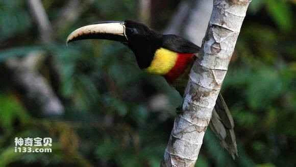 2023052319718123.jpg bb2220c3d562853550eade029bef76c6a7ef637a_九雷图片转换器.jpg