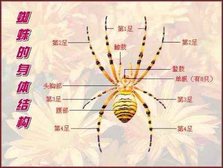 2024090225364973.jpg 88aa6c106e92b53ddb59a40173412ef6.jpg