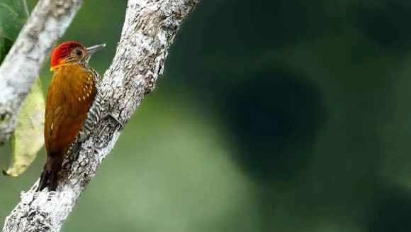 2023053139430043.jpg e62e7f395343fbf27f436e6ebb7eca8064388f80_九雷图片转换器.jpg