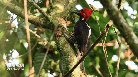 2023070796147119.jpg d26dd1086b63f624ca3b01fd8c44ebf81b4ca359_九雷图片转换器.jpg