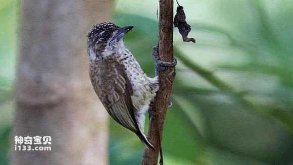 2023070916920299.jpg dd88c050f3deb48fc2963f3ffb1f3a292ff578c3_九雷图片转换器.jpg