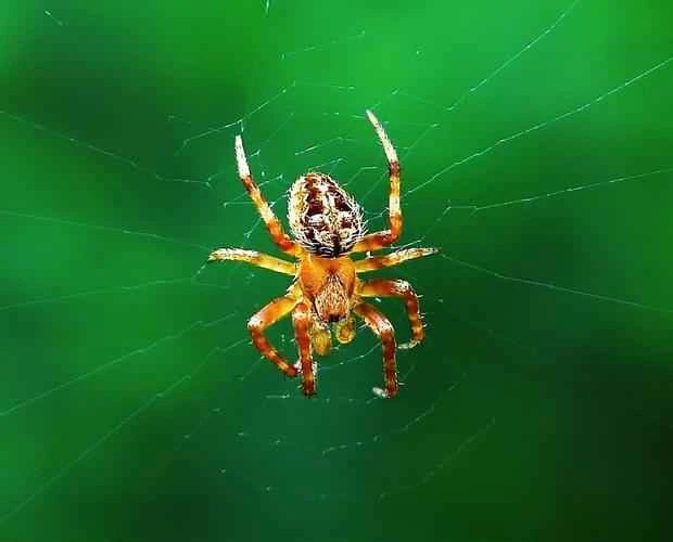 2024090215656728.jpeg b441d6914fa9cff41e085d37eadbb47a.jpeg