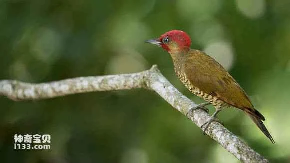 2023070536665798.jpg 8d39be1273f0820222bf7aca40fbfbedaa641b8d_九雷图片转换器.jpg