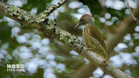 2023060142172516.jpg f1611cf182025aafe2555a78f0edab64024f1a94_九雷图片转换器.jpg