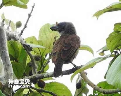 1689173357761244.jpg 2fc1602542a7d933f0d5c712a04bd11372f001c0_九雷图片转换器.jpg