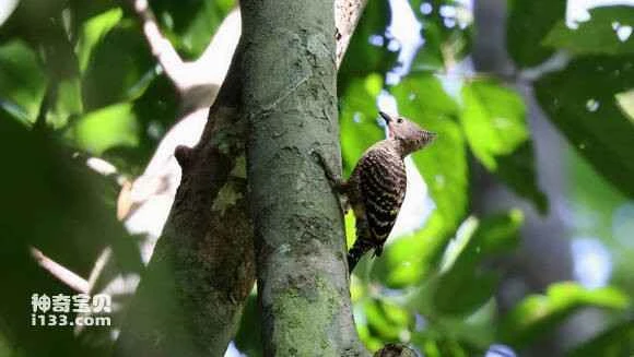 2023060389665406.jpg 87f4a6167f3e67099931a45e30c79f3df9dc55d5_九雷图片转换器.jpg