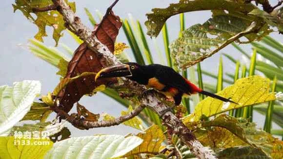 2023052312861869.jpg 2985ff539822720edbe518de70cb0a46f21fab5b_九雷图片转换器.jpg