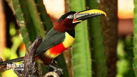 2023052315046525.jpg bd6492fbaf51f3de0889b0479feef01f3a297949_九雷图片转换器.jpg