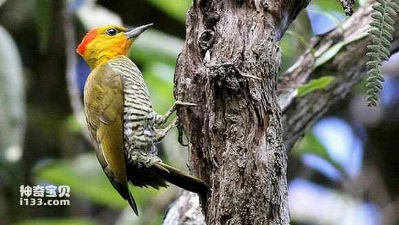 2023070514456856.jpg 527c63f2d7ca7bcb6f35b6d9b5096b63f724a869_九雷图片转换器.jpg