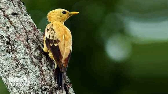 2023062213497034.jpg 1af58651352ac65ceaa59e86f0f2b21192138a13_九雷图片转换器.jpg