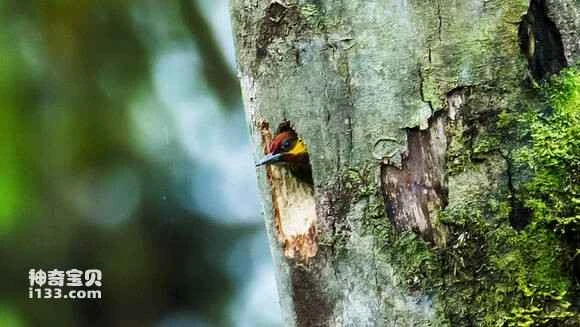 2023070560005915.jpg 93acf383d158ccbf78ec7ccf12d8bc3eb0354162_九雷图片转换器.jpg