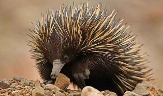 2024090512312357.jpeg 62960d2841c1a9a709357f1b9ac3ddf0 (1).jpeg