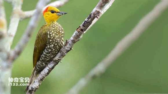 2023070510157626.jpg 8cdd41dca3cc7cd91148452f3201213fb90e9156_九雷图片转换器.jpg