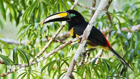 2023052376420716.jpg 42a29802918fa0ec510e6c2e2d9759ee3c6ddbbf_九雷图片转换器.jpg