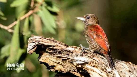 2023053188442311.jpg 3a3e3e0ed9f9d72a17881a53df2a2834359bbb07_九雷图片转换器.jpg