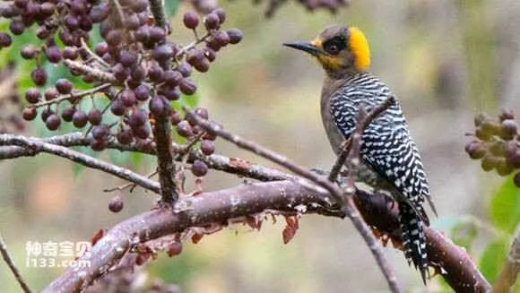 2023052614179694.jpg e94f1fce3bc79f3dda21d71cb1a1cd11738b2948_九雷图片转换器.jpg