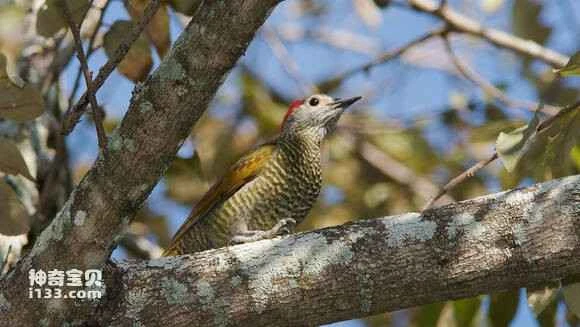 2023070628130048.jpg 9e7b0462f6246b60a5fc818ee0f81a4c530fa2c9_九雷图片转换器.jpg