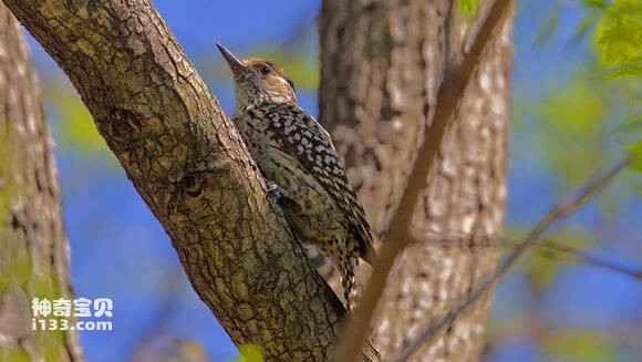 2023053119355347.jpg b49c9f1e3a292df5caf04d5ab7315c6035a873c5_九雷图片转换器.jpg