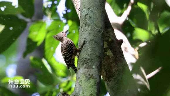 2023060316199172.jpg 50bd54c69f3df8dc840c6e30c611728b461028d5_九雷图片转换器.jpg