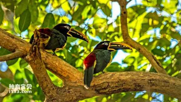 2023052312123372.jpg 8d463683b2b7d0a297f20dbec0ef76094b369a49_九雷图片转换器.jpg