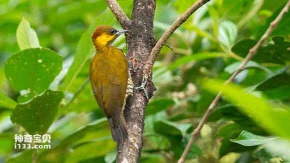 2023070520148197.jpg 733194f3b211931360ed36456e380cd790238d09_九雷图片转换器.jpg