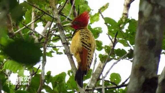 2023070555962302.jpg f131c24ad11373f0010d886aaf0f4bfbfaed048c_九雷图片转换器.jpg