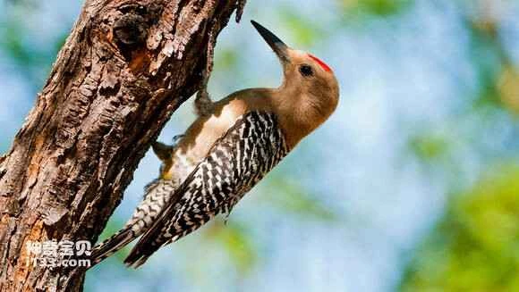 2023052618203575.jpg 775e7edea9ec8a13a2efb2cffc03918fa1ecc098_九雷图片转换器.jpg