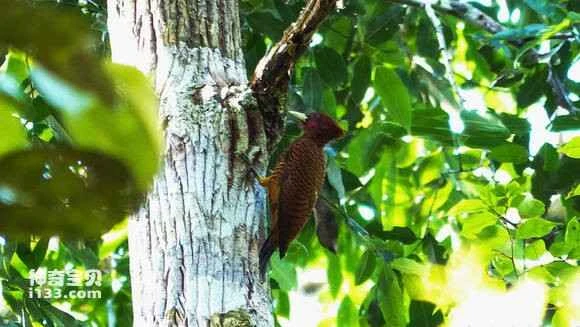 2023062210542996.jpg 2aa30dd8f2d3572cc3b115298113632763d0c36c_九雷图片转换器.jpg