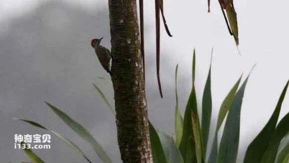 2023052747973054.jpg cb8a754d510fd9f90085be782e2dd42a2934a481_九雷图片转换器.jpg