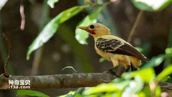 2023062217336445.jpg 1d1f3afab2fb4316bd27818f2ba4462308f7d3fb_九雷图片转换器.jpg