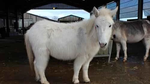 2024090666215760.jpg 1e629027f47993d469f1e48c9f2f1572.jpg