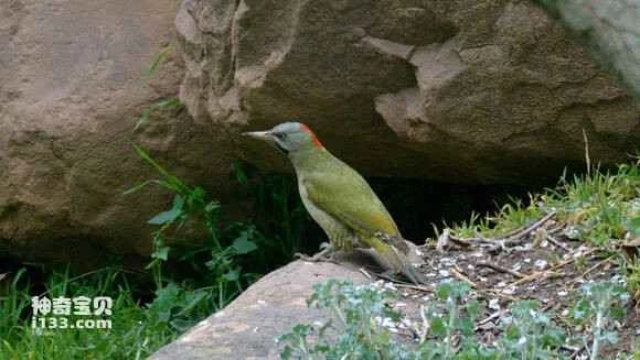 2023061019449439.jpg d771fe8ea0ec08fa9822e82b52ee3d6d54fbda94_九雷图片转换器.jpg