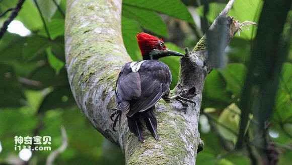 2023070712133859.jpg 6fb0ba638535e5dd057d9d217dc6a7efcf1b626a_九雷图片转换器.jpg