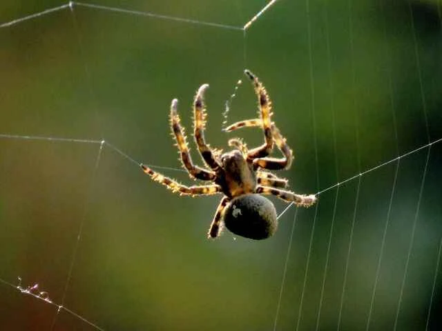 2024090271557786.jpg 517d663d61d5c9770d42122a02ab7824 (1).jpg