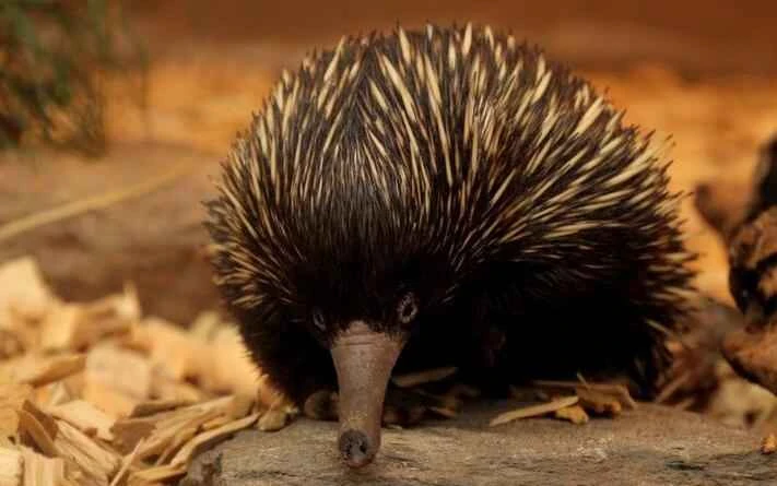 2024090517516264.jpeg 5ad922dc845b14d130dc58dce441cd34 (1).jpeg