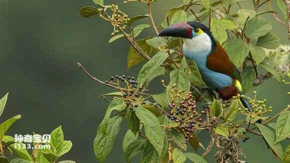 2023052014303881.jpg 8b6af82ad40735faac97848795510fb30f240818_九雷图片转换器.jpg