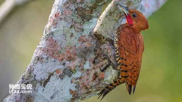 2023062210295038.jpg f131c24ad11373f02339ee6aaf0f4bfbfaed04b0_九雷图片转换器.jpg