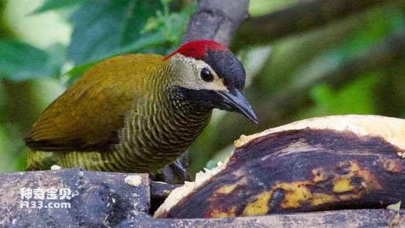 2023070520561119.jpg 16a3402fb9389b50a911d0a88e35e5dde5116ed5_九雷图片转换器.jpg