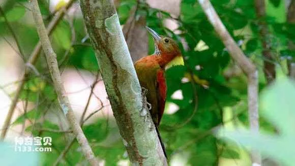 2023060376841173.jpg 665166f6905298224362784fdcca7bcb0b46d458_九雷图片转换器.jpg