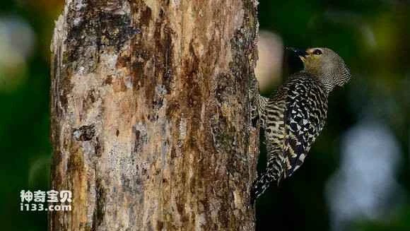 2023060321272721.jpg cbb6d84443a982265c31cd868182b9014b90eb17_九雷图片转换器.jpg