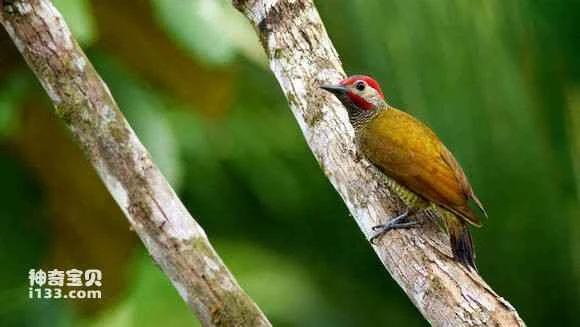 2023070517085734.jpg be5d680928381f3095c0bd53a2014c086c06f0e6_九雷图片转换器.jpg