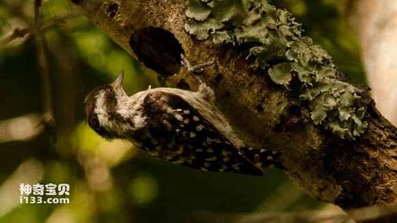 2023052820817985.jpg b5b8bec9a786c917f8d2fc20c23d70cf3ac7574d_九雷图片转换器.jpg