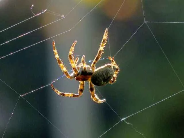 2024090216715136.jpg dd830cc4cfb698f2050a2c2affdd8ed8 (1).jpg